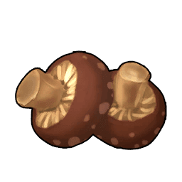 Baked Mushroom