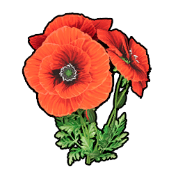 Beautiful Flower