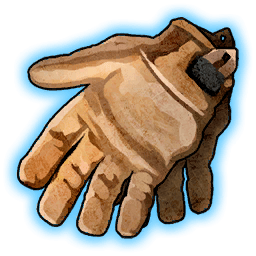 Hangyu's Gloves