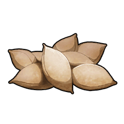 PotatoSeedPotatoes