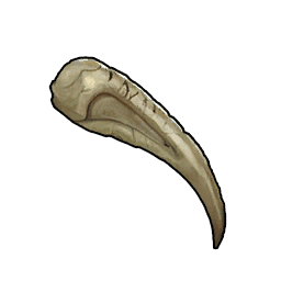 Precious Claw